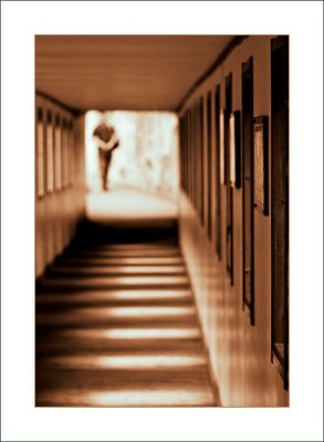 3rd place: Corridor -Fred