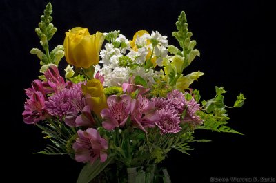 Mother's Day Flowers by Warren Sarle