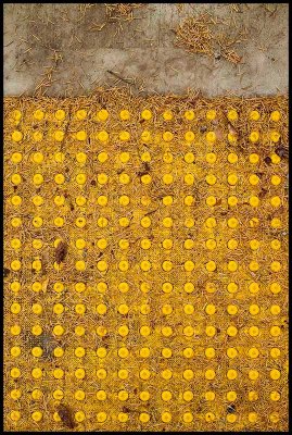 Safety Mat with Yellow Needles by Rich Wilson