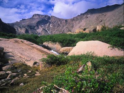 Long's Peak Colorado  by Shelby Frisch