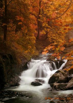 Equal 3rd place: Waterfall by Stan Patterson.jpg