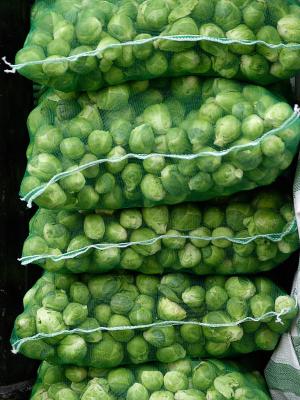 Sprouts by Flick Merauld