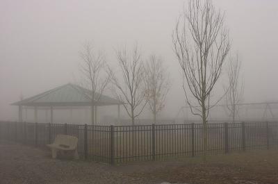 dreaming of a foggy x-mas by Peter Halperin