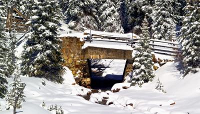 Snow Bridge by Albert Yanowich Jr.