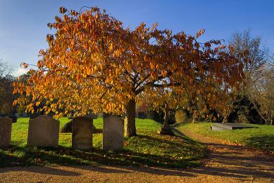 g3/90/420090/3/58343983.AutumnfallcolourinanEnglishChurchyard.jpg