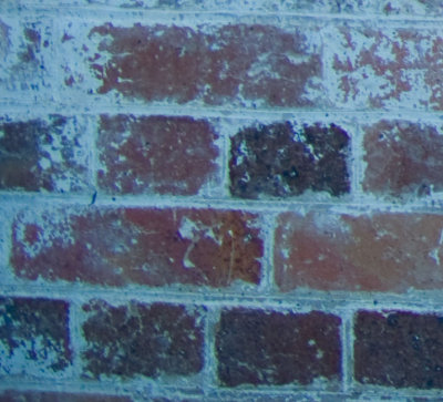 _IGP4590-DA17_F4_corner.jpg