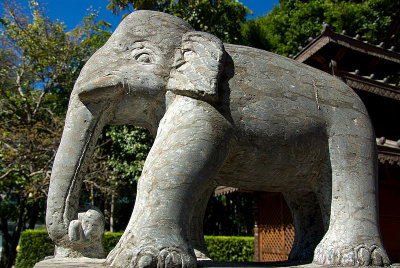 _IGP4653-20080802.jpg