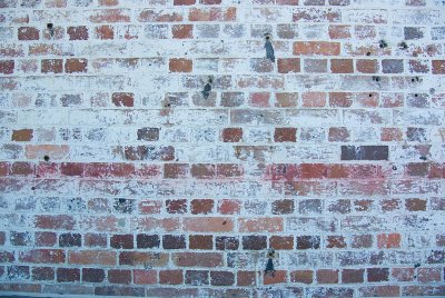 _IGP4591-DA17_Distortion.jpg