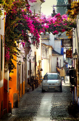 Obidos - Land of Flowers
