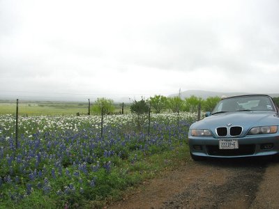 g3/90/43990/3/123955384.Pb3CXBby.jpg