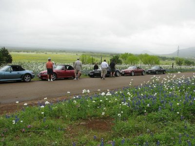 g3/90/43990/3/123955388.yPzVwYTV.jpg