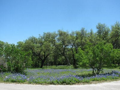 g3/90/43990/3/123955419.yPwWpaJ4.jpg