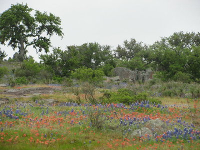 g3/90/43990/3/123955961.0n2lwUdB.jpg