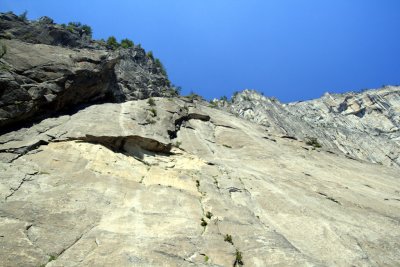 looking_up