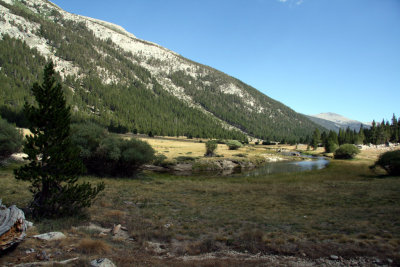 lyell_cannon
