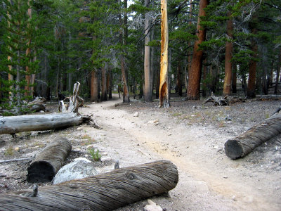 cottonwood_lake_trail