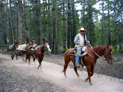 traveling_cowboy