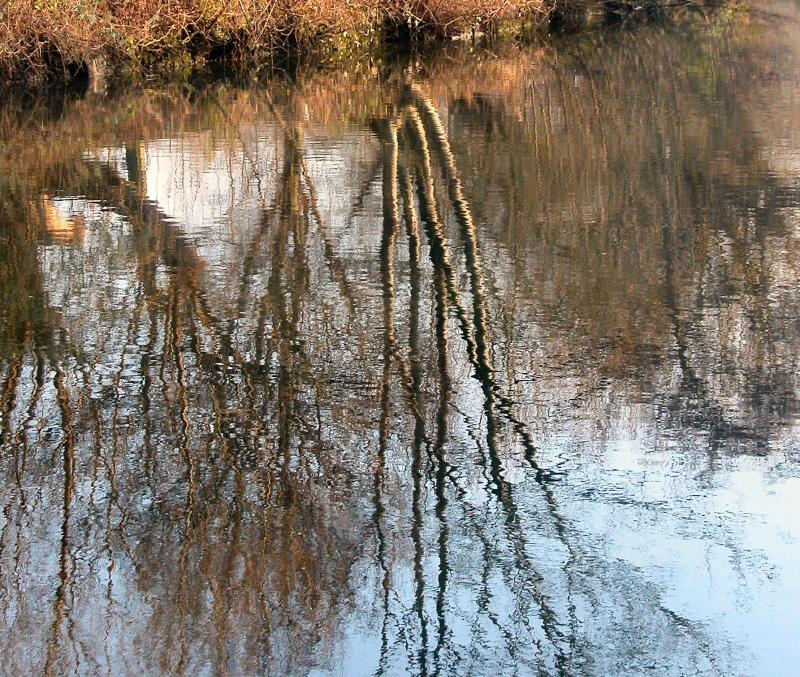 The Riverbank