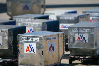 AA Cargo Bins