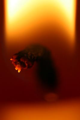 Candle