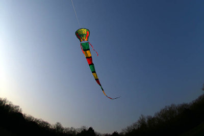 Kite