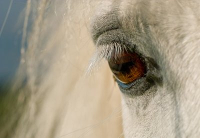 furys eye 3