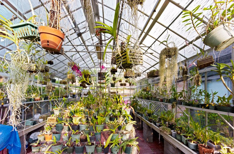 greenhouse to W
