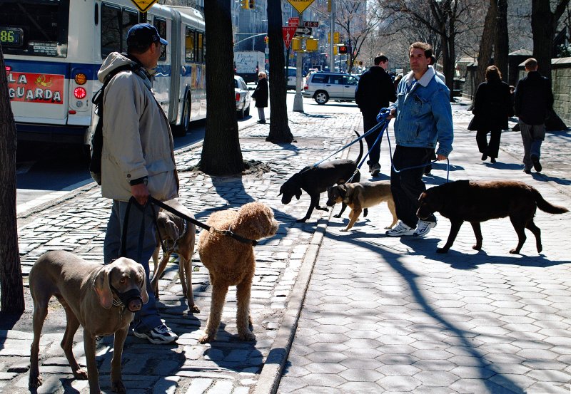 Fifth Ave meeting of the guard