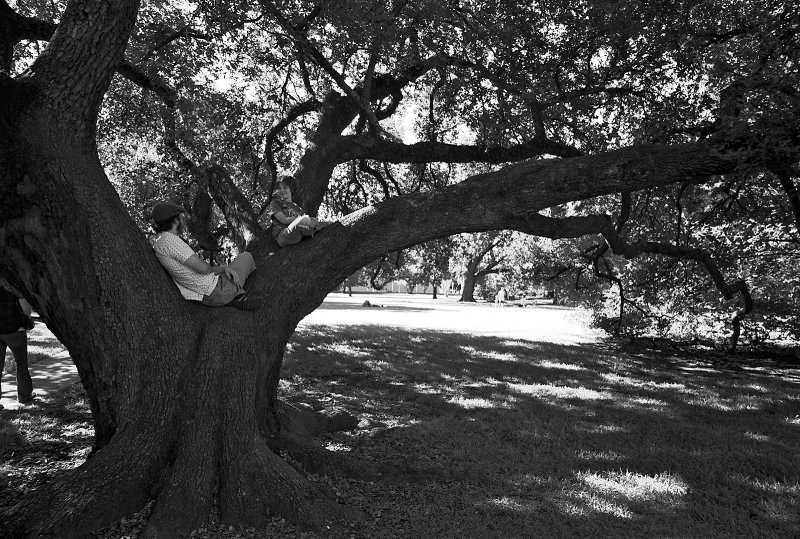 couple in de Menil park 02 bw