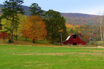 Fall On the Farm