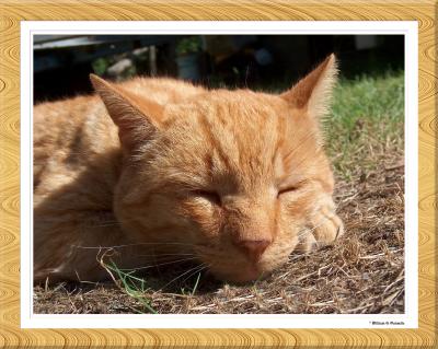 The late BigBoy