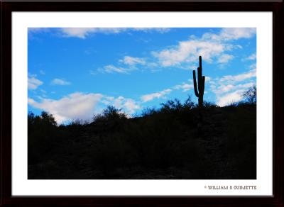 g3/90/490890/3/56936868.CactusonRidge.jpg