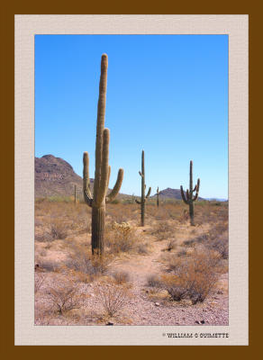 Images of Arizona