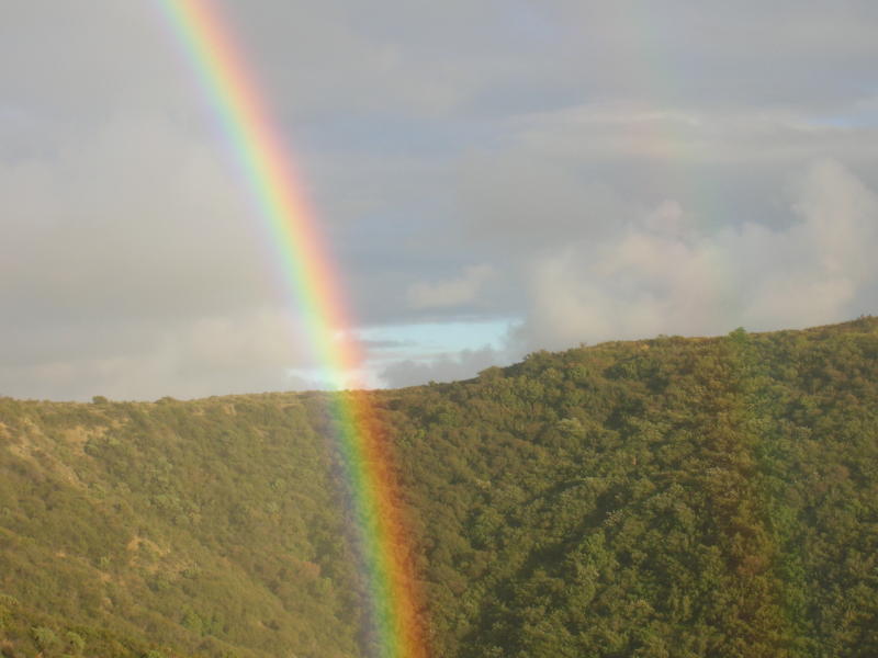Double Rainbow