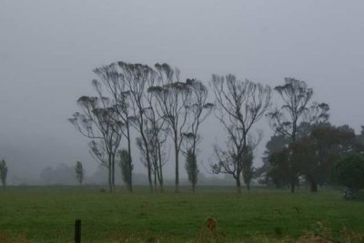 100123 Karamea Overnighter 55 Jon Harry pic.JPG