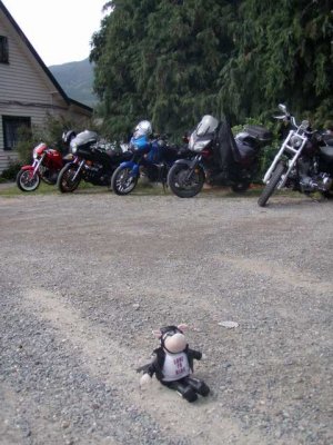 100214 Filco sponsored ride to Linkwater 17.JPG