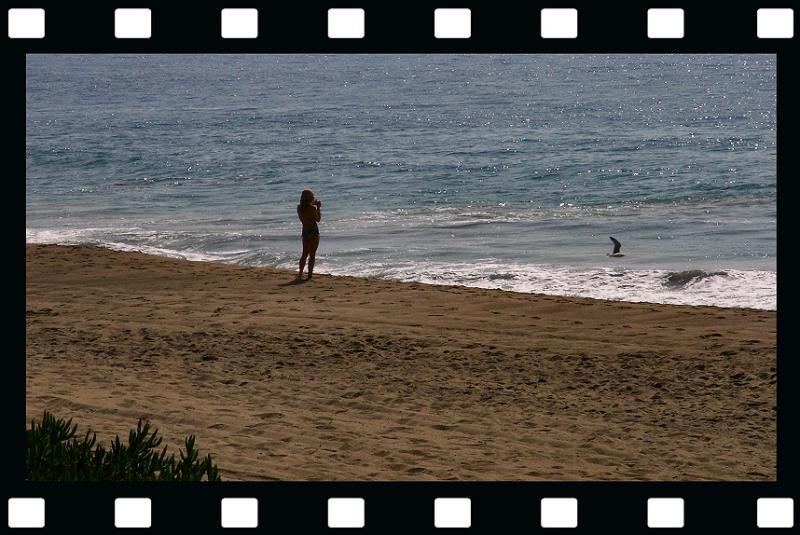 photographer