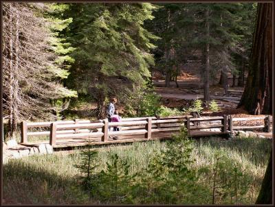 Bridge Stroll