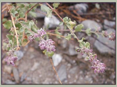 Tiny Clusters