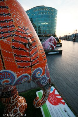 IMG_9392_ML.jpg