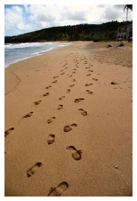 Beach Trek (Bathway)