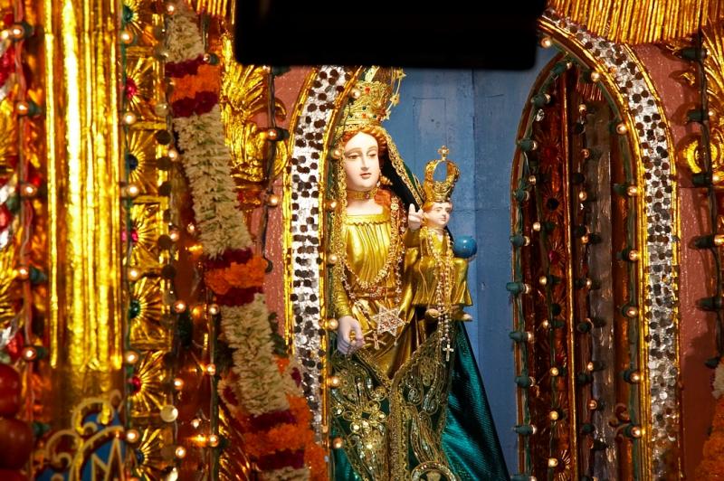 The Gracious Face of our lady