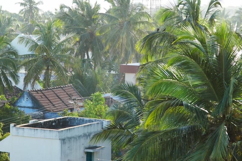 Idindakarai areal view