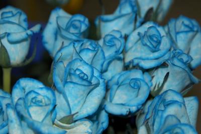 Oh, We 're so BLUE