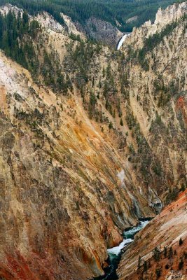 Grand Canyon of the Yellowstone 8284AW.jpg