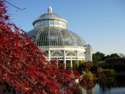 Japanese Autumn Garden - 2005