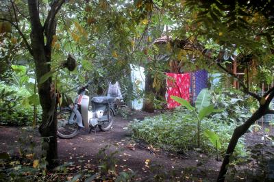 Indian Village, Eden Project