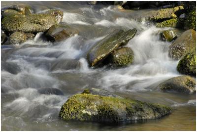 Flowing Stream