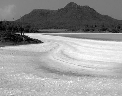 Salt Flat