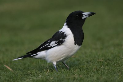 g3/90/590590/3/112112341.Hbwg37Ih.jpg